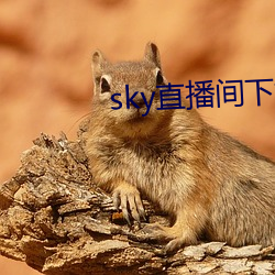 sky直播间下(xià)载(zài)sky466