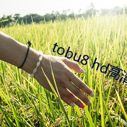 tobu8 hd高清