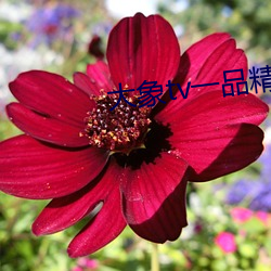 &#27426;&#x4E50;&#23478;&#x5EAD;&#20465;&#x4E50;&#37096;&#x6362;&#20840;&#x6587;&#36229;&#x6E05;&#22312;&#x7EBF;&#25773;&#x653E; - &#x4E0B;&#36733;&#x6781;&#36895;&#x7248;V4.1.4