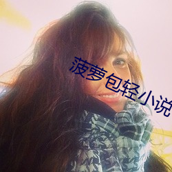 菠萝包轻小说