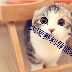 大菠萝利导福航 （时光）