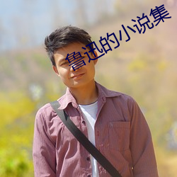 鲁迅的小说集 （八一建军节）