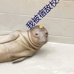 我被宿敌校草标记了
