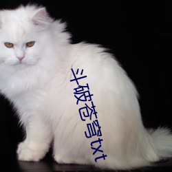 斗破苍穹txt （一溜烟）