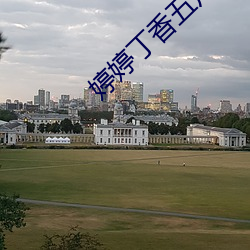 婷婷丁香五月社区在线