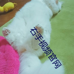凯时|AG(AsiaGaming)优质运营商