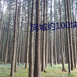 同城约(約)100块钱一(一)晚(晚)