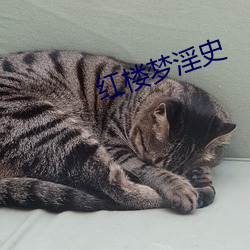 紅樓夢淫史