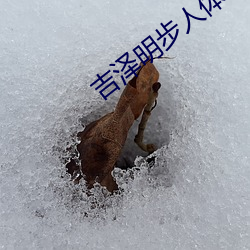 吉澤明步人體藝術