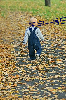 天字(zì)一号白(bái)玫真实身份