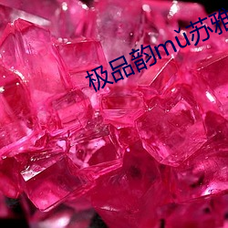 极品韵m苏雅晴笔趣阁