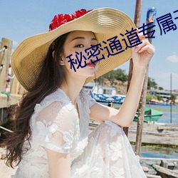 秘密通道專屬于秘密地址