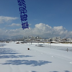 草(cǎo)莓视(shì)频污的