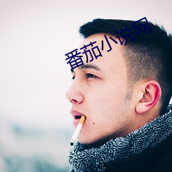 番(fān)茄小说(shuō)网(wǎng)