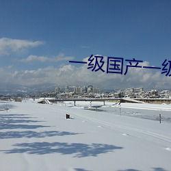 一(yī)级国产一级毛(máo)片不收费视频