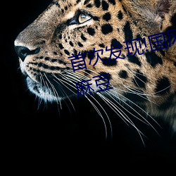 首次发现!国风产精品秘 入口永久麻豆