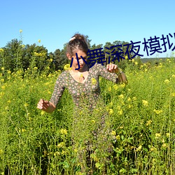 小舞深夜模拟器游戏在哪下 （彻头彻尾）