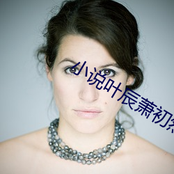 小說葉辰蕭初然全文免費閱讀