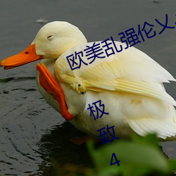 欧美乱强伦乂乄乄乄乄暖暖冲上热搜:极致4K画质令人拍案叫