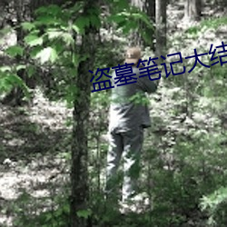 盗墓笔记大结局下
