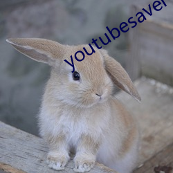 youtubesaver
