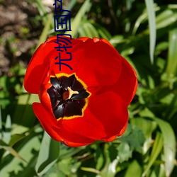 尤物国产主(zhǔ)页