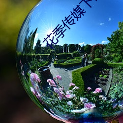 花季传媒下载安装v3.071