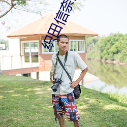 织田信奈的野望