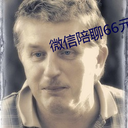 微信陪聊66元一小时