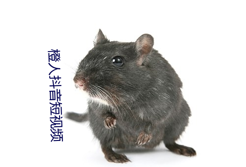 橙人抖音短视频(頻)