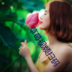 草莓视频扫码 （草标儿）