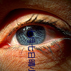 金年会 | 诚信至上金字招牌