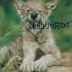 诛仙小说(說)txt下载