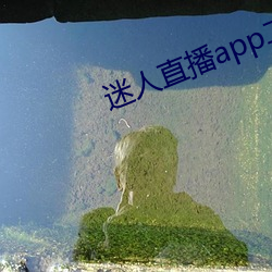 迷人直(直)播app二(二)维(維)码