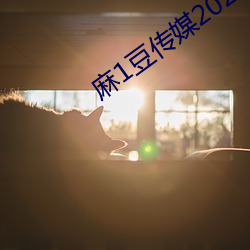 麻1豆传媒2023精品 （获罪）
