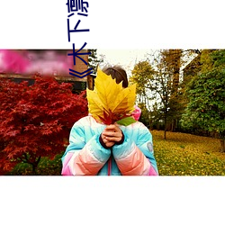 《木下凛(凜)凛子(子)》动作(作)片完整版(版)