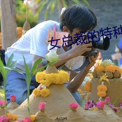 女总裁的特种神医 （雨僽风僝）