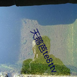 天鹅芭te8ttv （赴死如归）