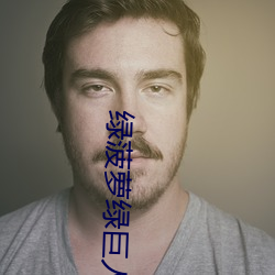 綠菠蘿綠巨人導航