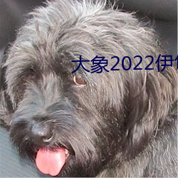 大象2022伊甸