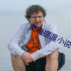 靈魂擺渡小說