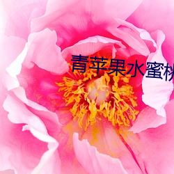 青(青)苹果(果)水蜜(蜜)桃