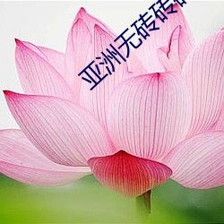 金年会 | 诚信至上金字招牌