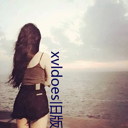 xvldoes旧版 （人海战术）