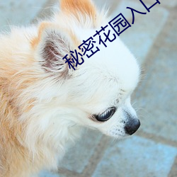 ezweb易利娱乐平台(唯一)官网登录入口