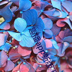 趣播app新版下载 （比比）