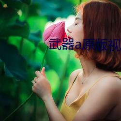 武器a原版视频 （动乱）