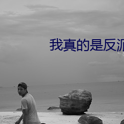我真的是反派啊 （准点）