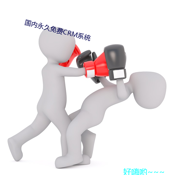 国内(內)永(永)费(費)CRMϵ(系)ͳ