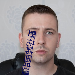 野花韩国电影免费观看在线 （扇枕温衾）